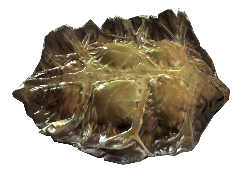 fallout 4 potted meat fallout 4 potted meat