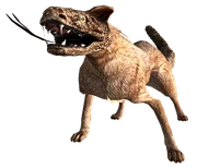 Legendärer Nachtpirscher