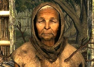 Bloomseer Poplar.jpg (155 KB) Bloomseer Poplar