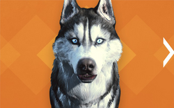 Creation Club Fallout Wiki Fandom