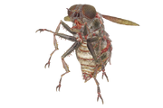 FO76 Bloatfly render.png
