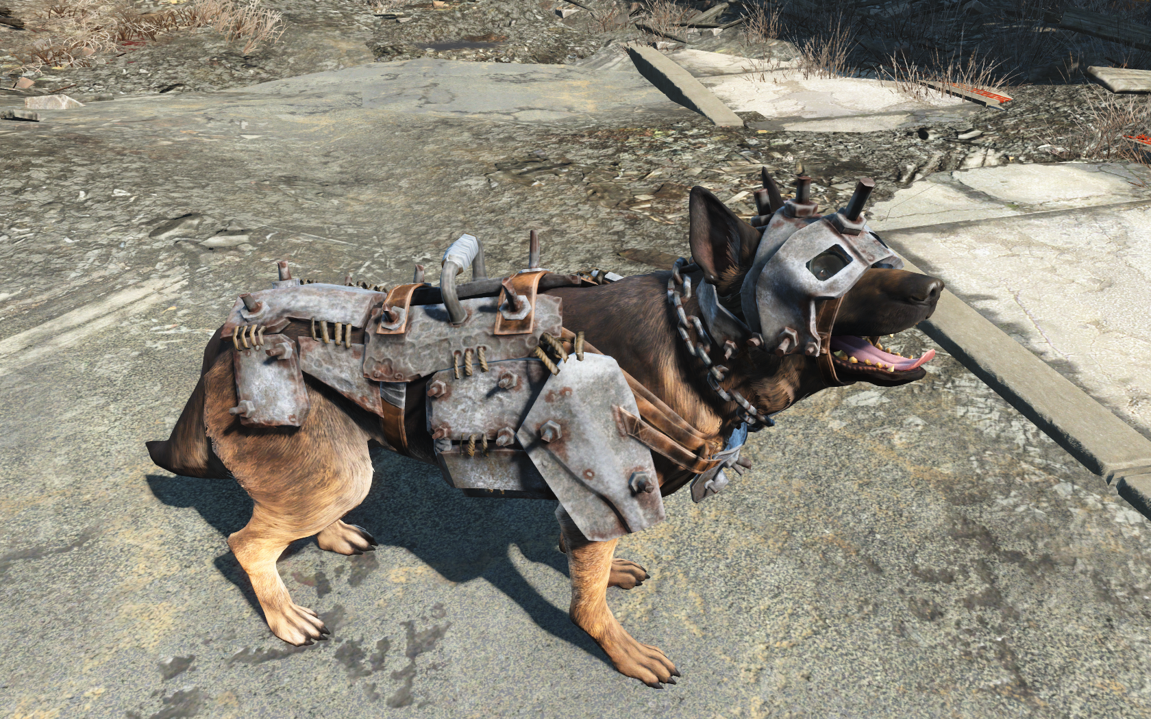 Fallout 4 4k dogmeat фото 84