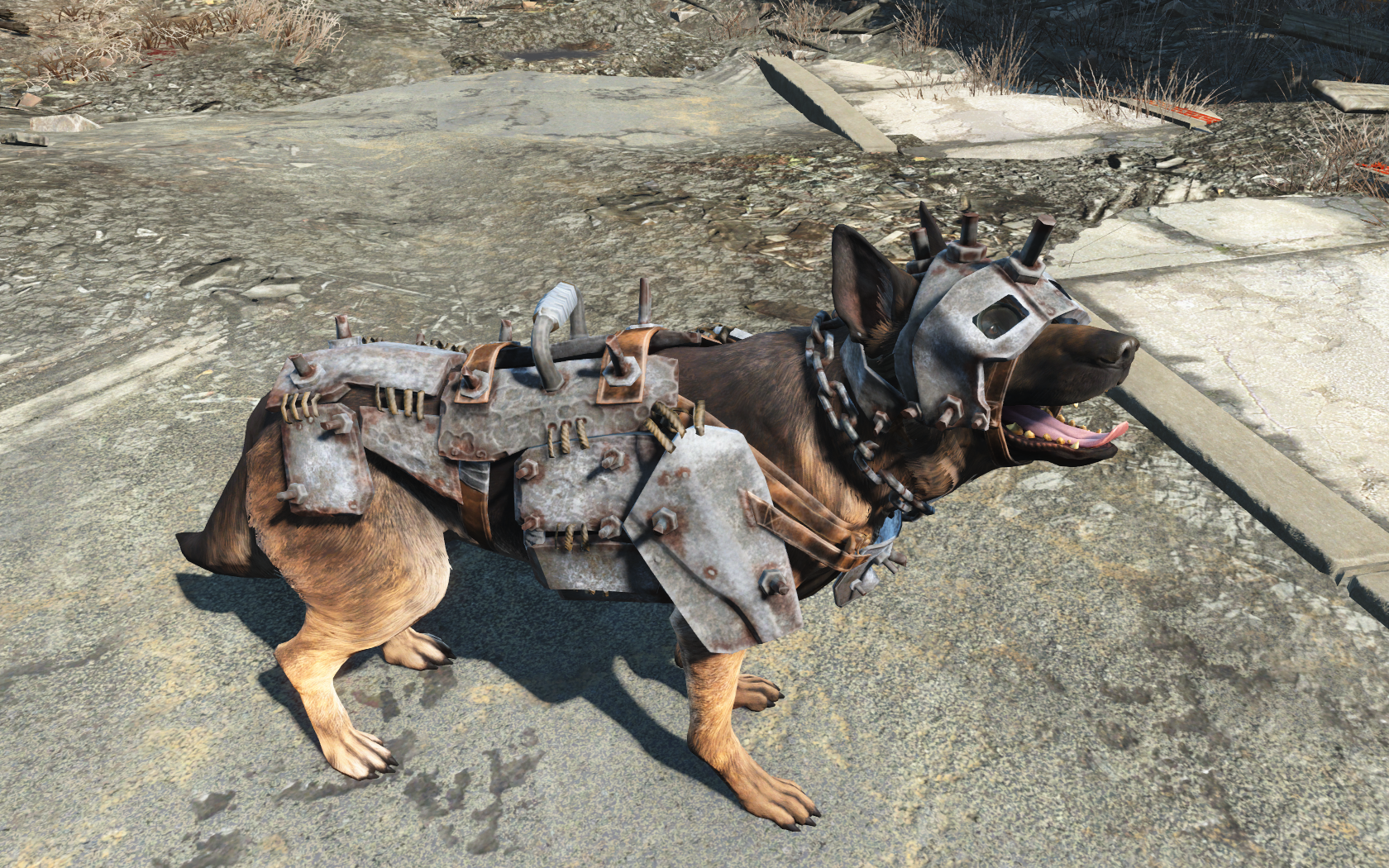 Dogmeat fallout 4 wiki фото 38