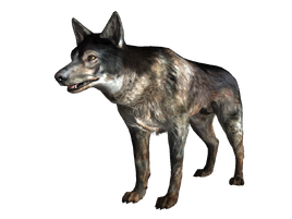FO3 Little Lamplight dog.png