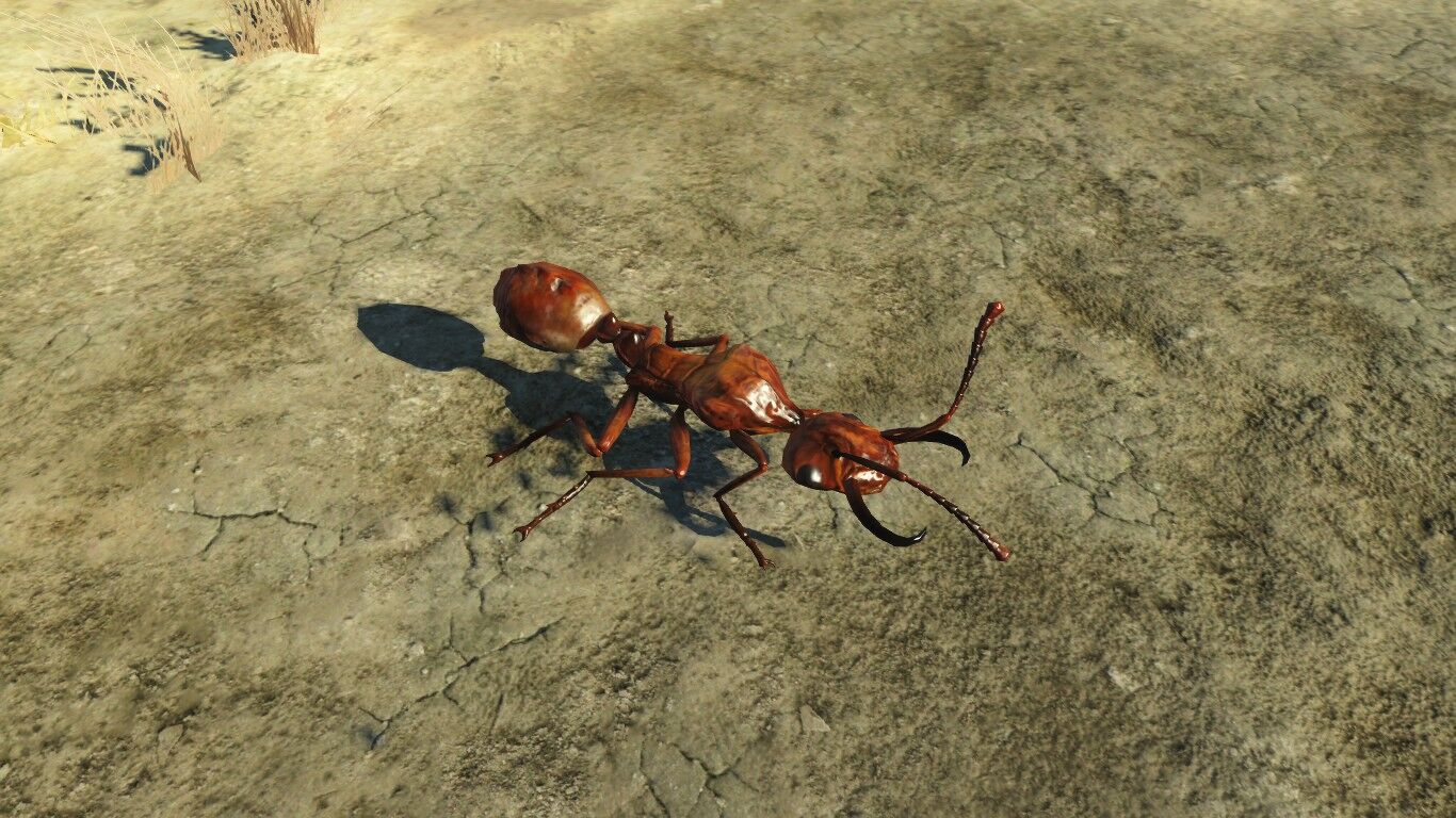 Ant (Nuka-World), Fallout Wiki