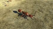 FO4NW Overgrown soldier ant