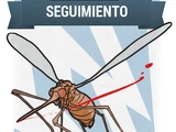 Seguimiento