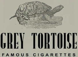 Grey Tortoise logo