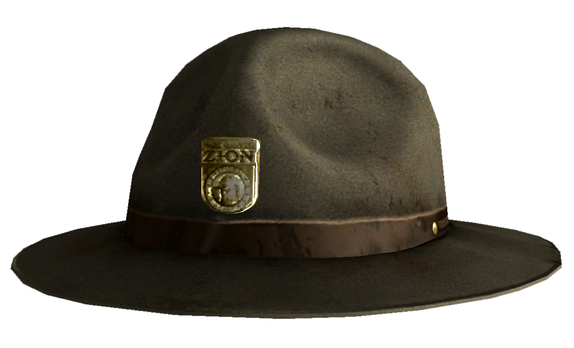 Park ranger hat 