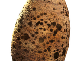 Pristine deathclaw egg