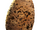 Pristine Deathclaw Egg.png