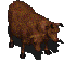 BrahminFO1.gif