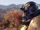Fallout 76