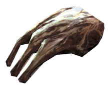 Fo4FH wolf meat.png