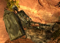 Randall Clarks Skelett