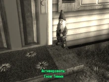 Тимми-гном на входе