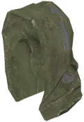 FO76 Green hood.png