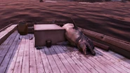 FO76 Whale 1.png (2.47 MB)