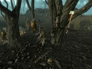 Скелет погибшего пилота и его принадлежности