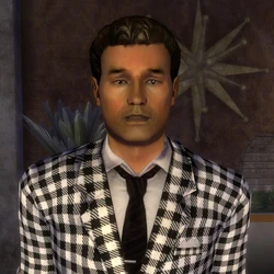 Fallout: New Vegas sleeping partners