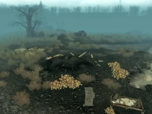 Schlammloch in der Nähe vom Lil Tykes Schauspielhaus