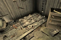 Skeleton and detritus