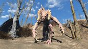 FO4 Albino Deathclaw Walk