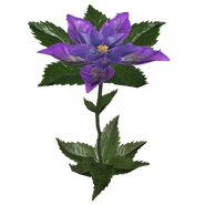 Звёздная лента