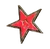 FO76 Red star pin