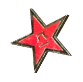 FO76 Red star pin