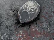 FO76 Wretched Tick.jpg