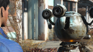 The male Sole Survivor reuniting with Codsworth