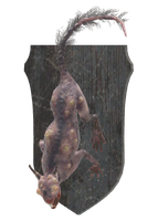 Mounted squirrel.png (465 KB) Mounted squirrel