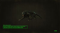Fo4FH wolf loading screen