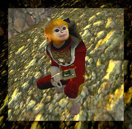 SpaceMonkey