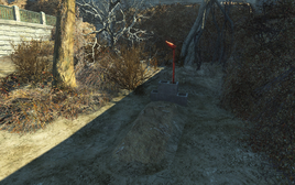 FO4NW McDermot