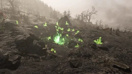 FO76GD Gleaming Depths (10)