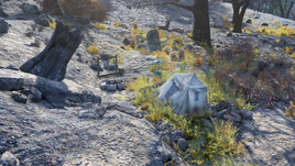 FO76WA Janelle's camp
