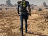 Vault Dweller