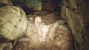 Blood Eagle Mongrel.png