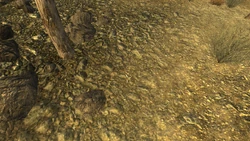 distinctive cigarette butt Distinctive cigarette butt | Fallout Wiki distinctive cigarette butt Distinctive cigarette butt | Fallout Wiki
