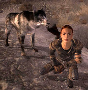 FNV SunnyShayenne.jpg (224 КБ) Санни со своей собакой Шайен