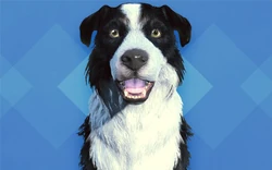 Creation Club Fallout Wiki Fandom