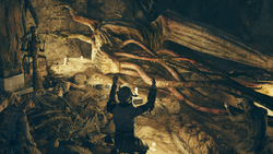 FO76 Interloper worshippers
