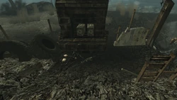 PL Skeleton in the lodge