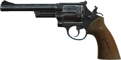 WesternPistol