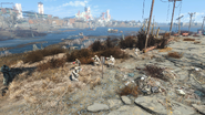FO4NW A goods defense Synths