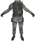 FO76 outfit specops bos.png