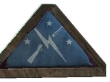 Minutemen flag