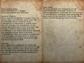 Prison incident report